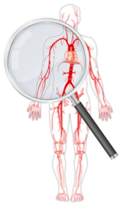  wskaznik-abi-pomiary