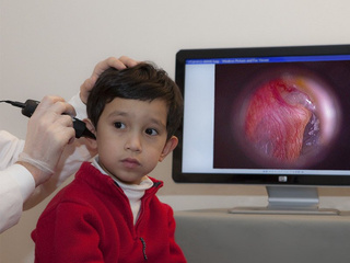 Wideootoskop cyfrowy FireFly DE-500 przewodowy USB